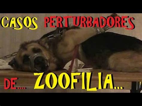 Vídeos sexuales con animales y películas porno de bestialismo ...